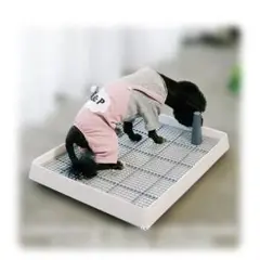 Item thumbnail for item c7dab18a-2ee4-4d16-b8a2-0d7bc30567ab