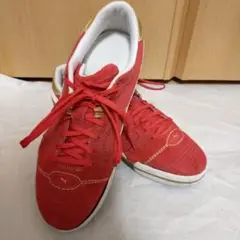 室内用 シューズ PUMA プーマ 25cm