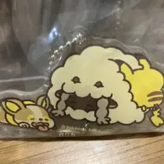 ポケモン　カナヘイ