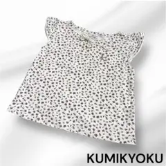 Item thumbnail for item 9dd9f1ae-689c-4993-a202-07b54142d6e0