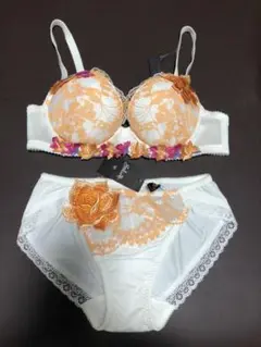 D70 ワコール サルート ブラジャー ショーツ セット