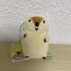 マーモットのもっとっとモアVMCぬいぐるみマスコット