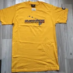 90s ヴィンテージ　ISLAND SNOWハーレー コラボ HAWAII