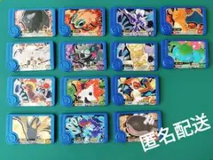ポケモンフレンダ　トレジャー　14枚セット　★4