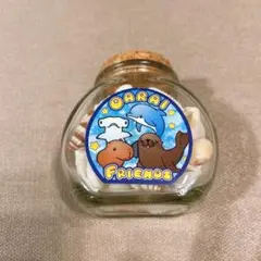 大洗水族館 貝殻 ビン 海 お土産 インテリア 置物