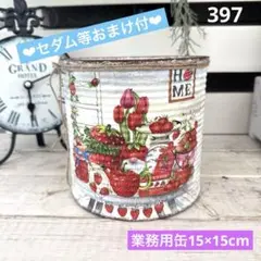 リメイク缶397☆多肉植物☆寄せ植え☆インテリア