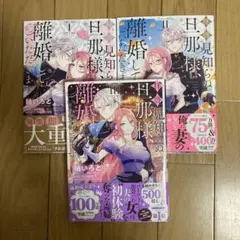 拝啓見知らぬ旦那様、離婚していただきます = To My Unfamiliar…