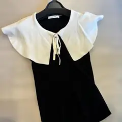 スナイデル