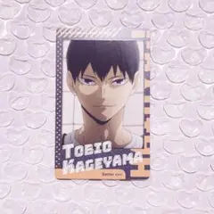 ハイキュー‼︎ スナップマイド 影山飛雄