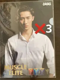 SAVAS MUSCLE ELITE クリアファイル　不二家