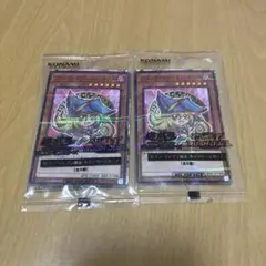遊戯王 ブラックマジシャンガール 2枚