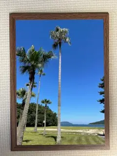 絵画　フレーム付き　風景画