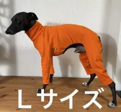 Ｌサイズスムースニットボディオール