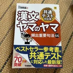 漢文ヤマのヤマ 頻出重要句法66