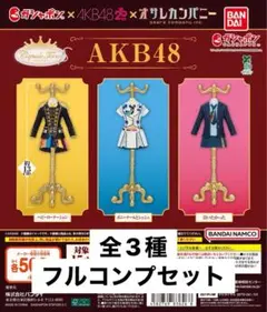 Capsule トルソー AKB48 全3種類セット