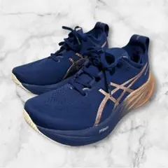 asics公式限定GEL-NIMBUS 26 PLATINUM
