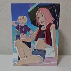 ナルト疾風伝　船上のパラダイスライフDVDBOXセット