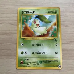 チコリータ イントロパック★neo