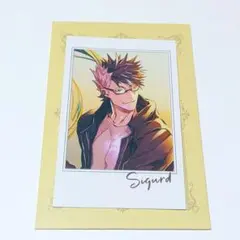 FGO FGOフェス ポートレート ポートレイト シグルド
