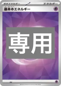 専用