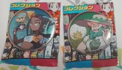 ポケモン ガラル地方の缶バッジ ルリナ＆カジリガメ、ヤロー＆ワタシラガ