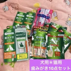 Item thumbnail for item b6f541d9-009f-4ea1-8c7f-250d84582501
