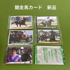 後藤浩輝騎手　アドマイアコジーン　安田記念勝利記念写真直筆サイン 今は亡き後藤浩輝が、安田記念の勝利後、反時計回りでウイニング