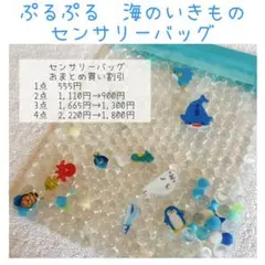 ⭐︎センサリーバッグ⭐︎ リバーシブル