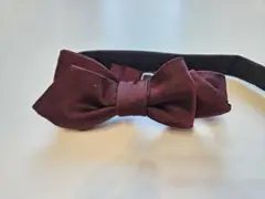 SHIPS　シップス　蝶ネクタイ