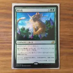 MTG 著大化 [日本語版] foil