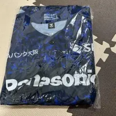 Item thumbnail for item e5352831-2b07-48b7-ac60-62fc8e50f268