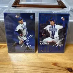 Item thumbnail for item af86b93b-c644-4ca4-a293-132f52533588