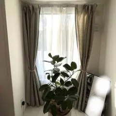 Item thumbnail for item 9a3cd1f4-8dcd-4747-bc89-24b8a76ea6b0