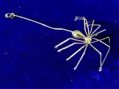 スパイダー・ペンダントトップ