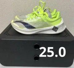 NIKE - NIKEナイキ ドラゴンフライ 25.0センチ 新品未使用 ナイキ ドラゴンフライ2 ブループリント 25.5センチ - メルカリ