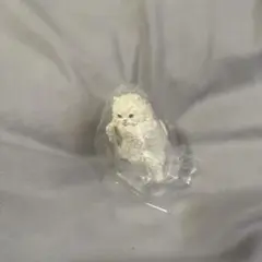 まけるもんか ペルシャ ガチャガチャ