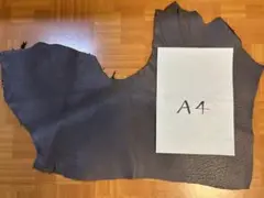 Item thumbnail for item ec84bbbd-8abd-43af-b277-ef501f7b1c54