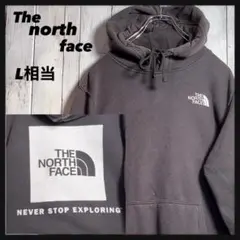 【古着】The north face パーカー デカロゴ L相当 USA規格