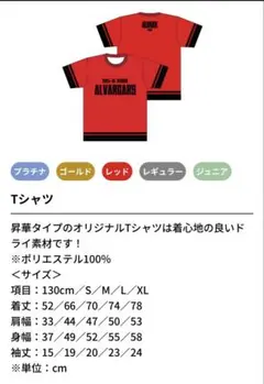 ALVARCARS 2024-25シーズン Tシャツ XL