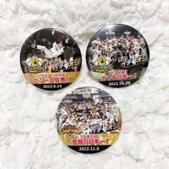 阪神タイガース イチオシ缶バッジ リーグ優勝 CS突破 日本一記念 甲子園