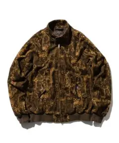 Item thumbnail for item b26ab599-f7a0-4867-adad-1cdf88c05b60