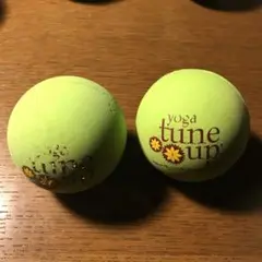 セラピーボール