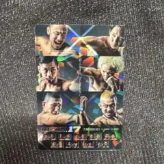 RIZIN ポテトスティック　ポスターカードコレクション　No.4