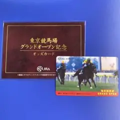JRA第2回ジョッキーマスターズ 記念オッズカード セット 2025年最新】オッズカード JRAの人気アイテム - メルカリ