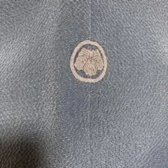 色無地薄青色紋付き