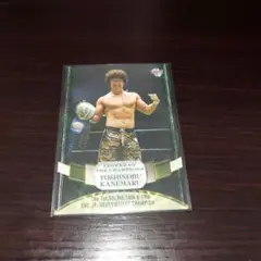 金丸義信 GHCジュニアヘビー級チャンピオンカード