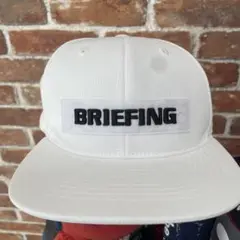 Item thumbnail for item 93502598-d2b5-4523-9ba4-ebd8810b6e61