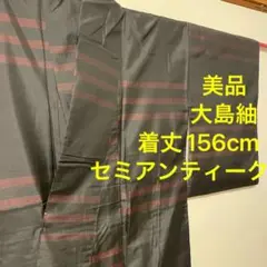 セミアンティーク 美品 着物 きもの 大島紬 紬 正絹 黒 飛び柄
