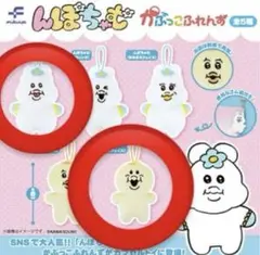 んぽちゃむ　かっぷこふれんず