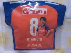アルビレックス新潟 宮本英治選手 マッチデークッション
